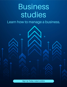 Business Studies iulearn.online