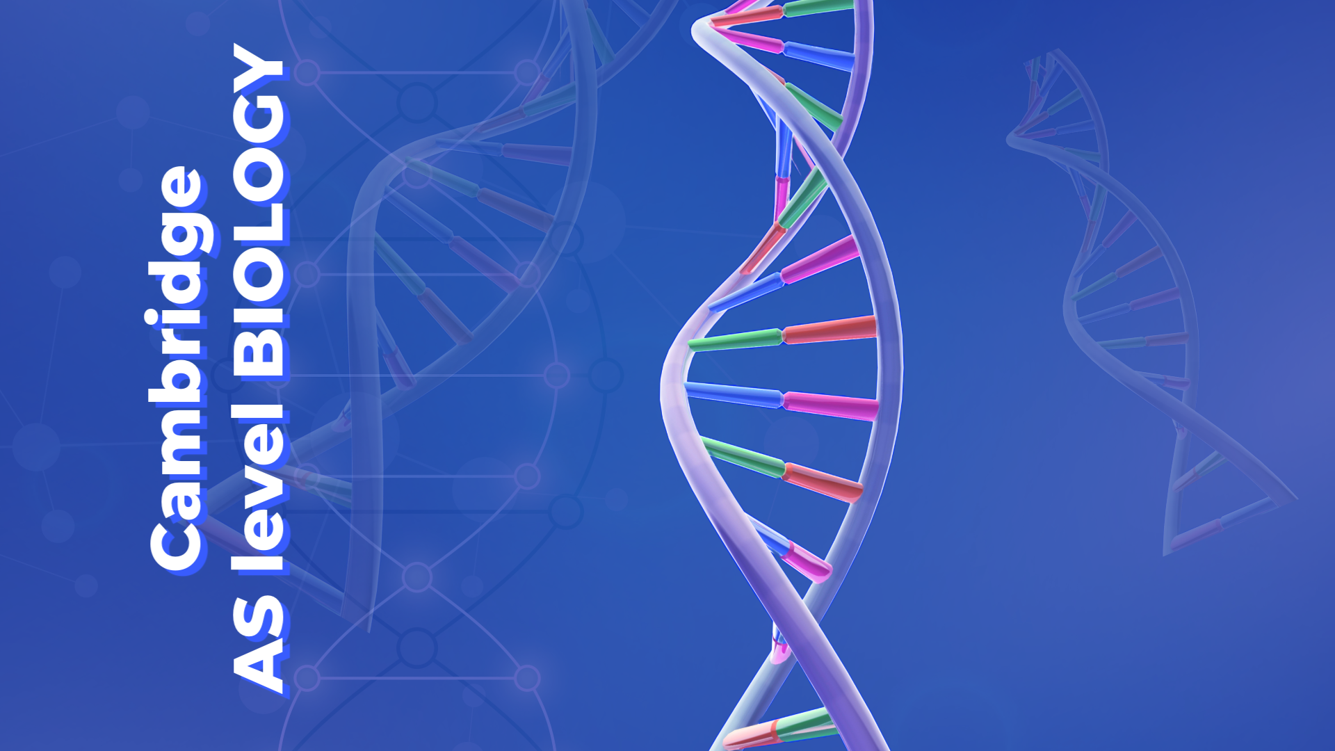 Cambridge AS Level Biology