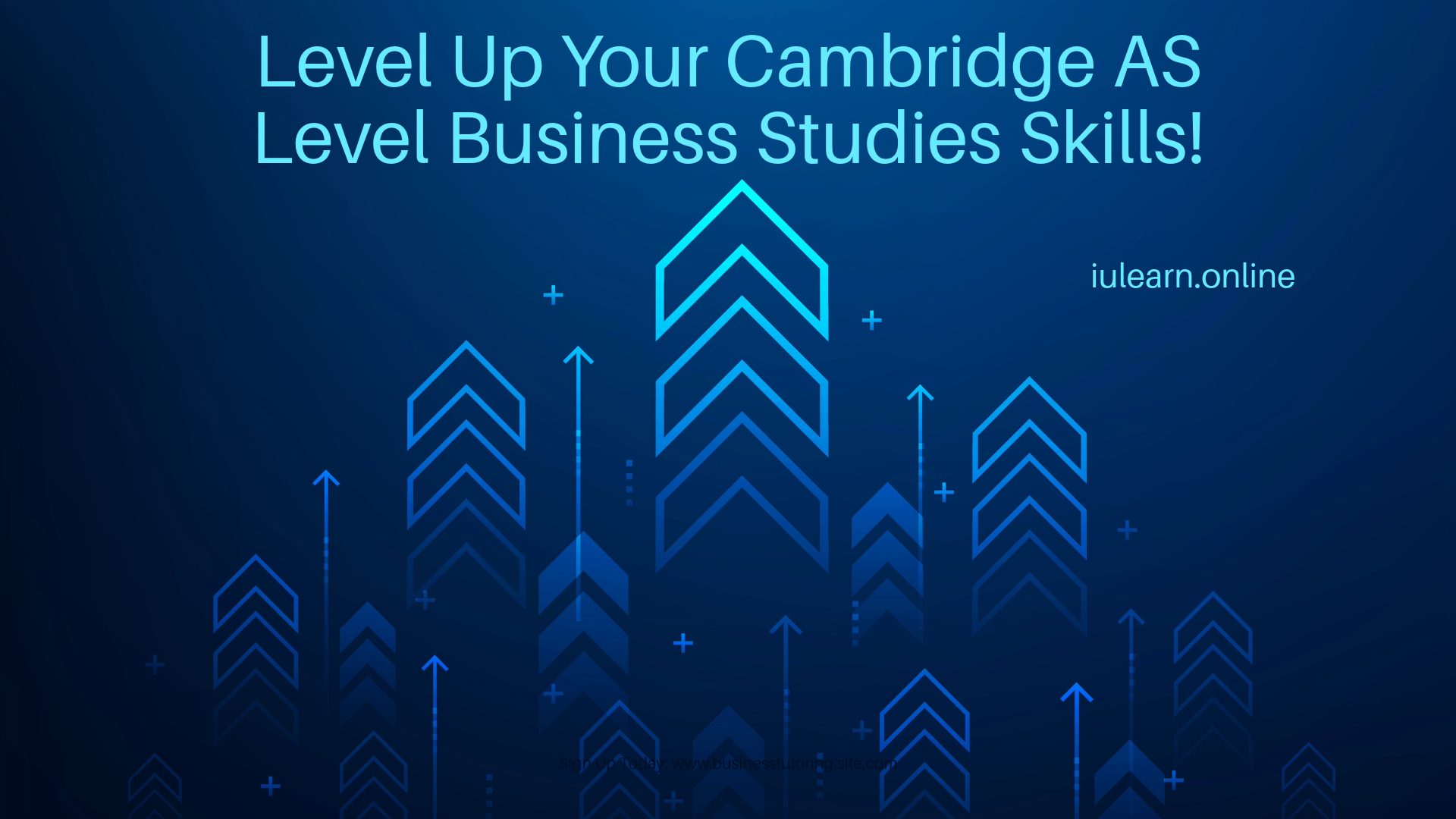 Cambridge AS Level Business Studies
