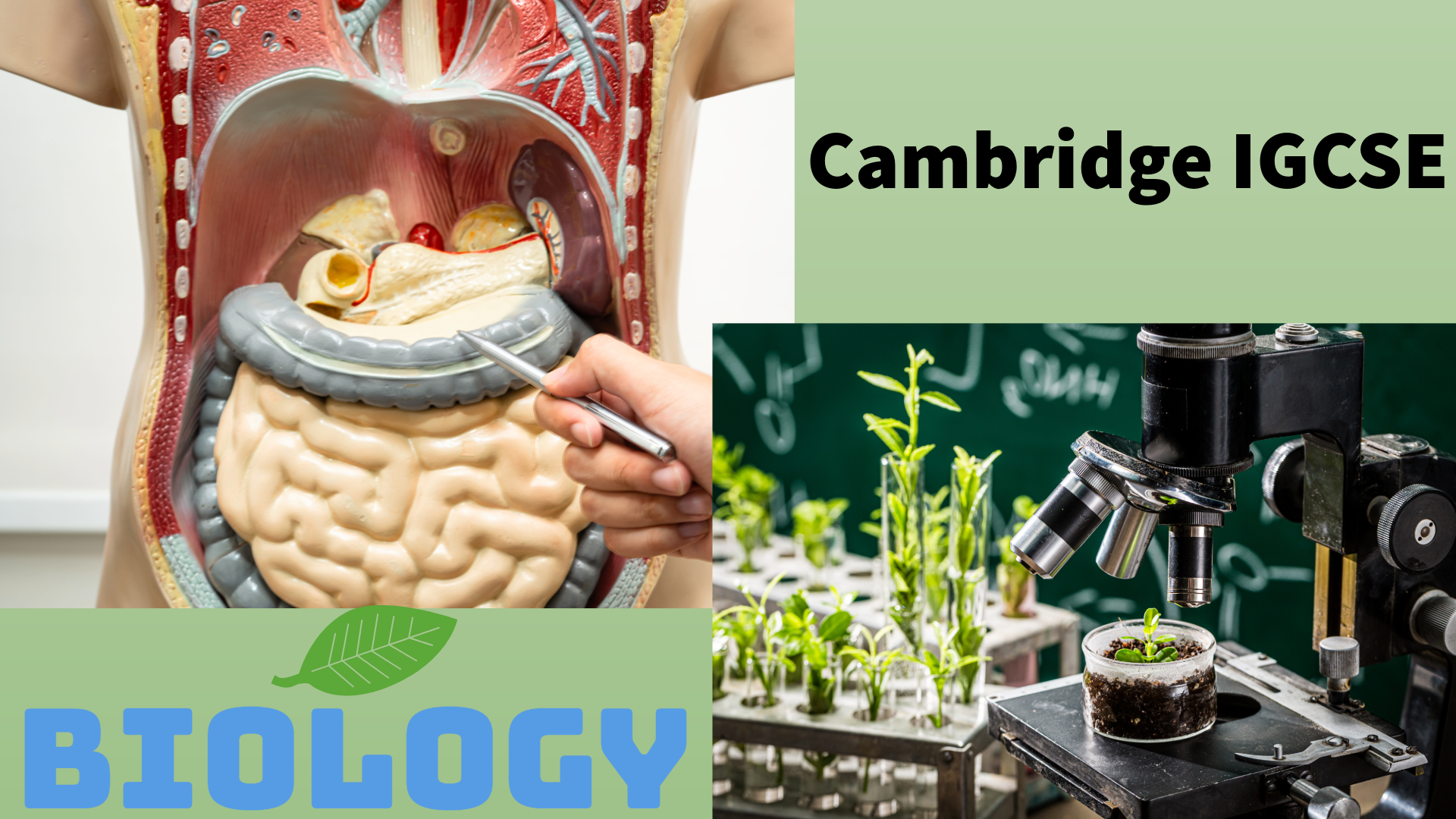 Cambridge IGCSE Biology