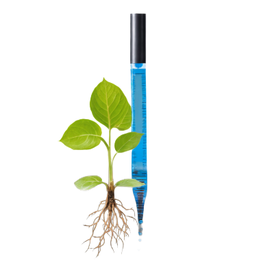 Our drip feed content structure promotes retention and academic