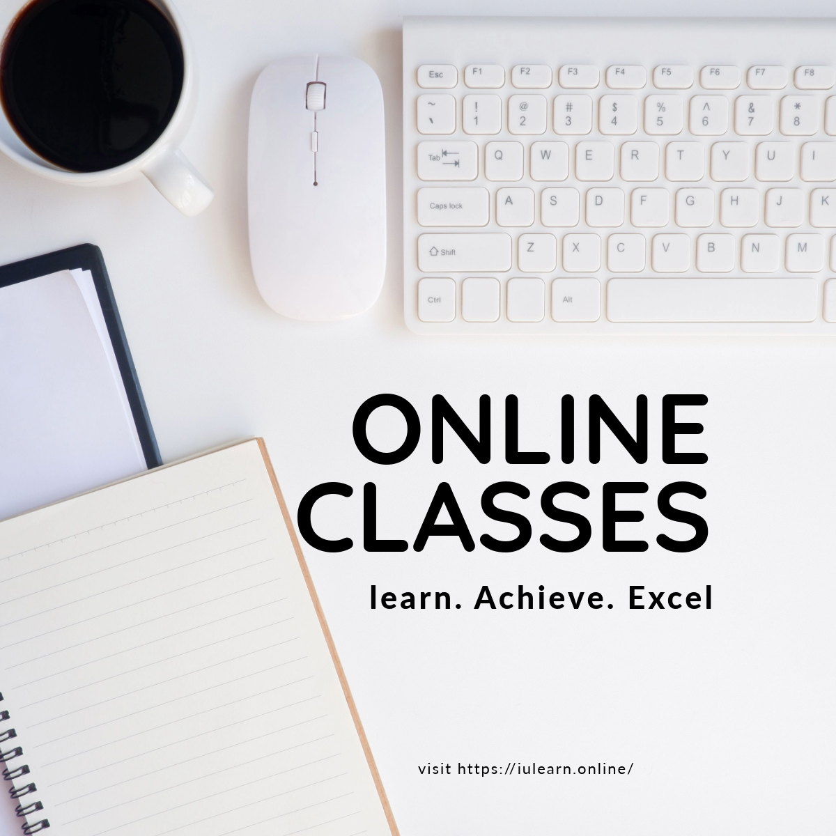 Cambridge & Edexcel Online Classes